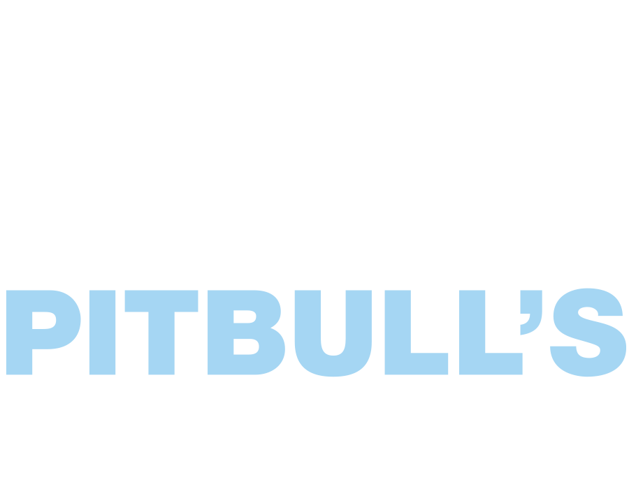 Radio: Pitbull's Globalization