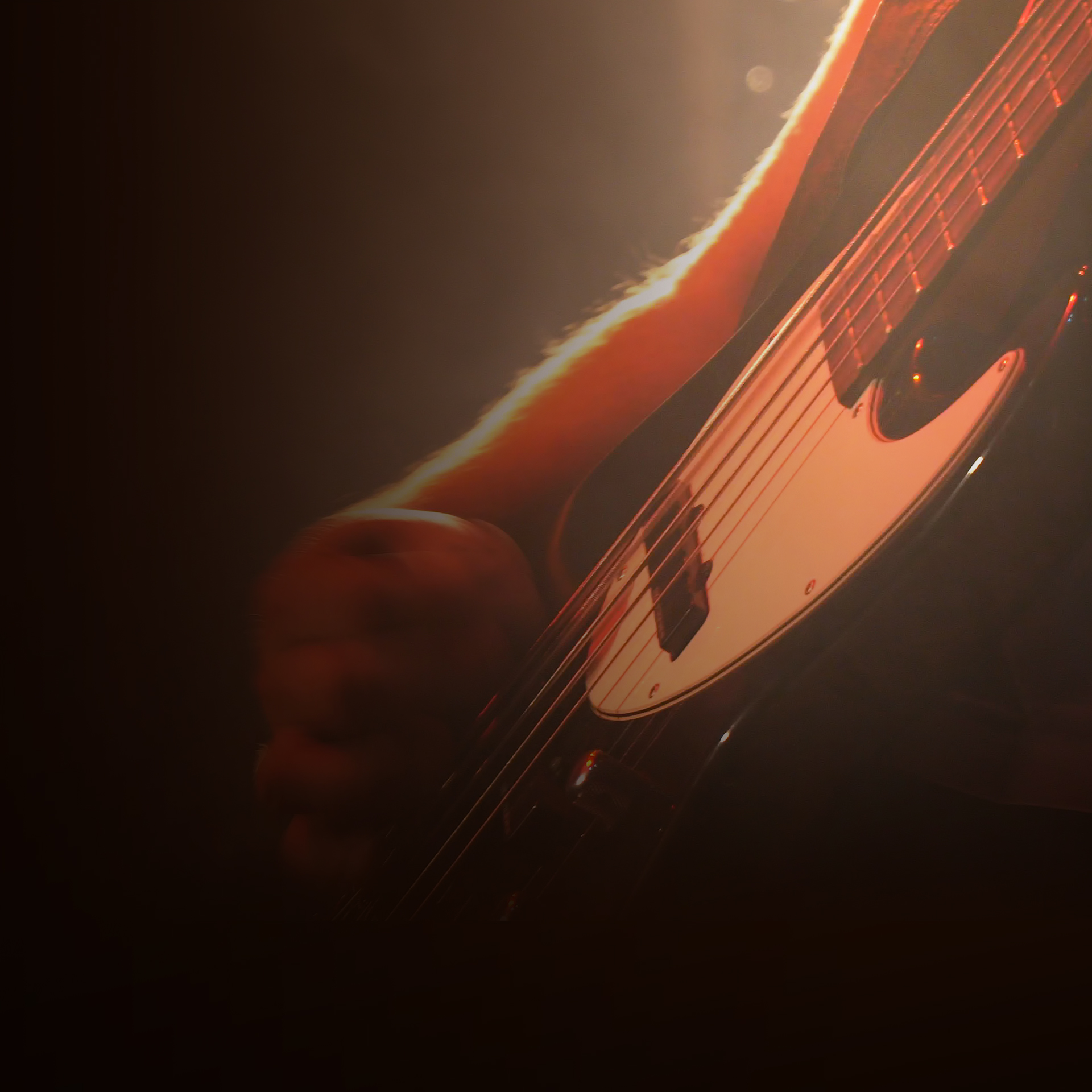 PopRock Picks