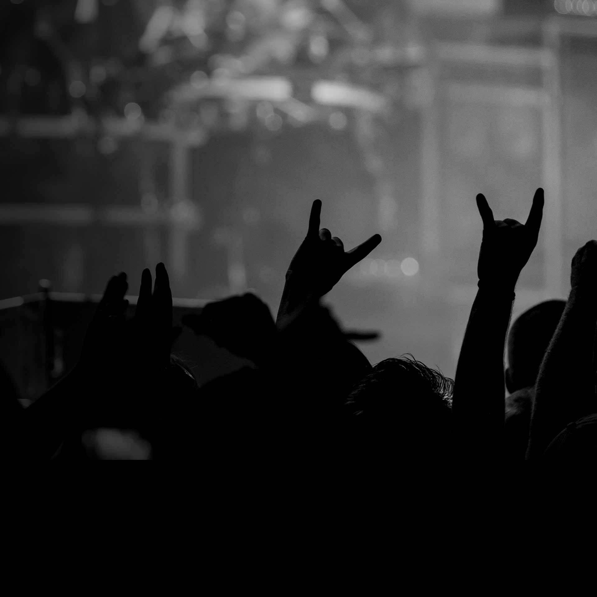Liquid Metal Interviews