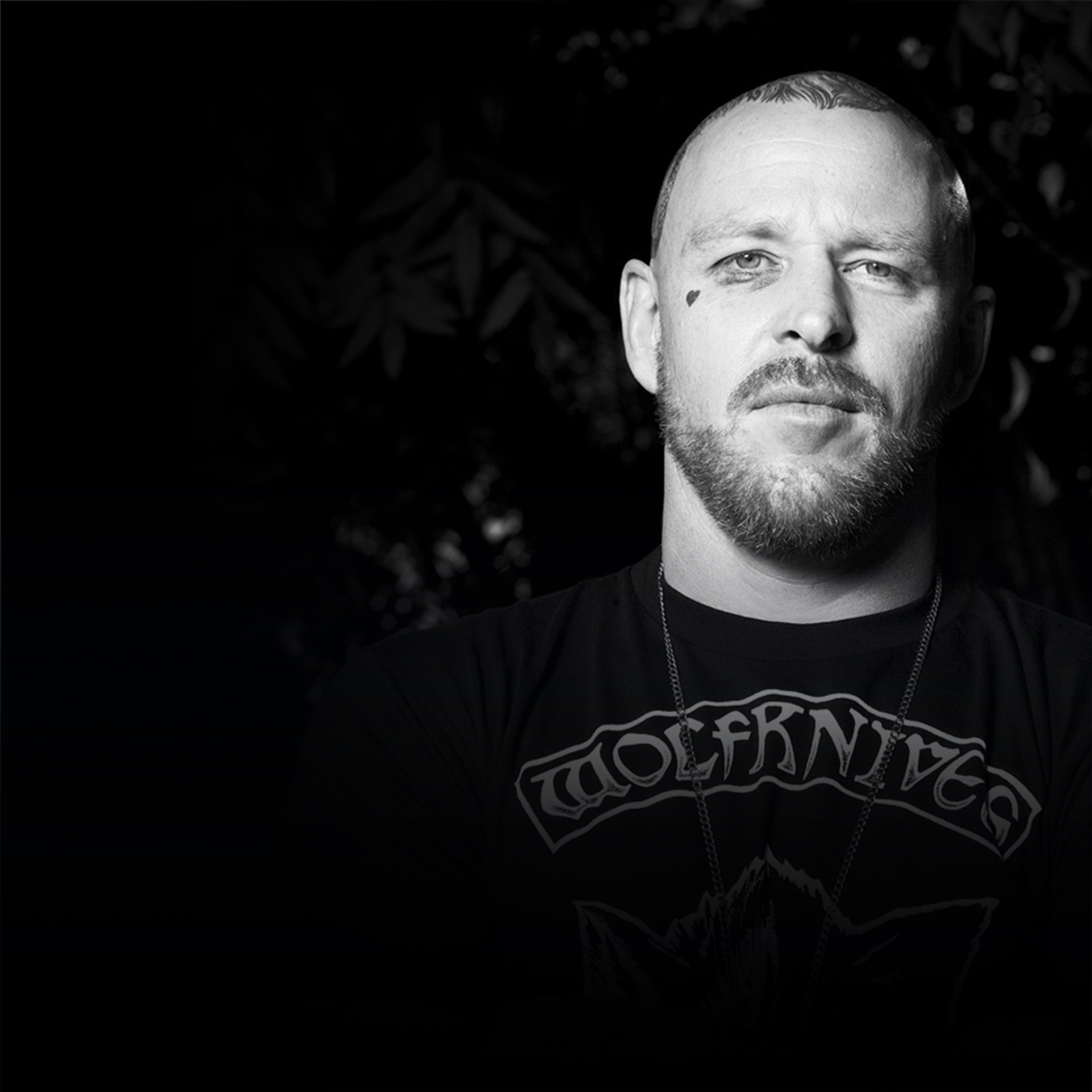Jason Ellis